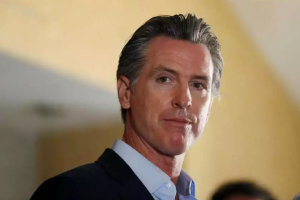 gavin newsom net worth